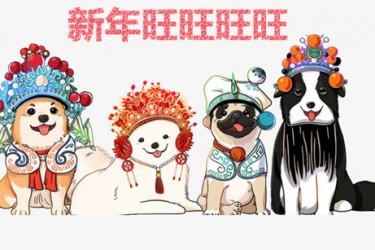 新年红包 新年红包