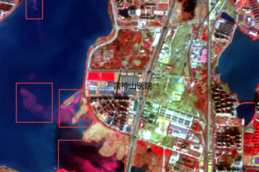 武汉雷神山医院时序影像监测 武汉雷神山医院时序影像监测