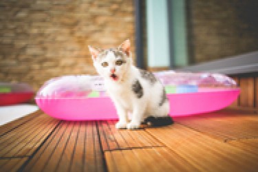 全球MODIS气溶胶数据与遥感数据下载服务 全球MODIS气溶胶数据与遥感数据下载服务